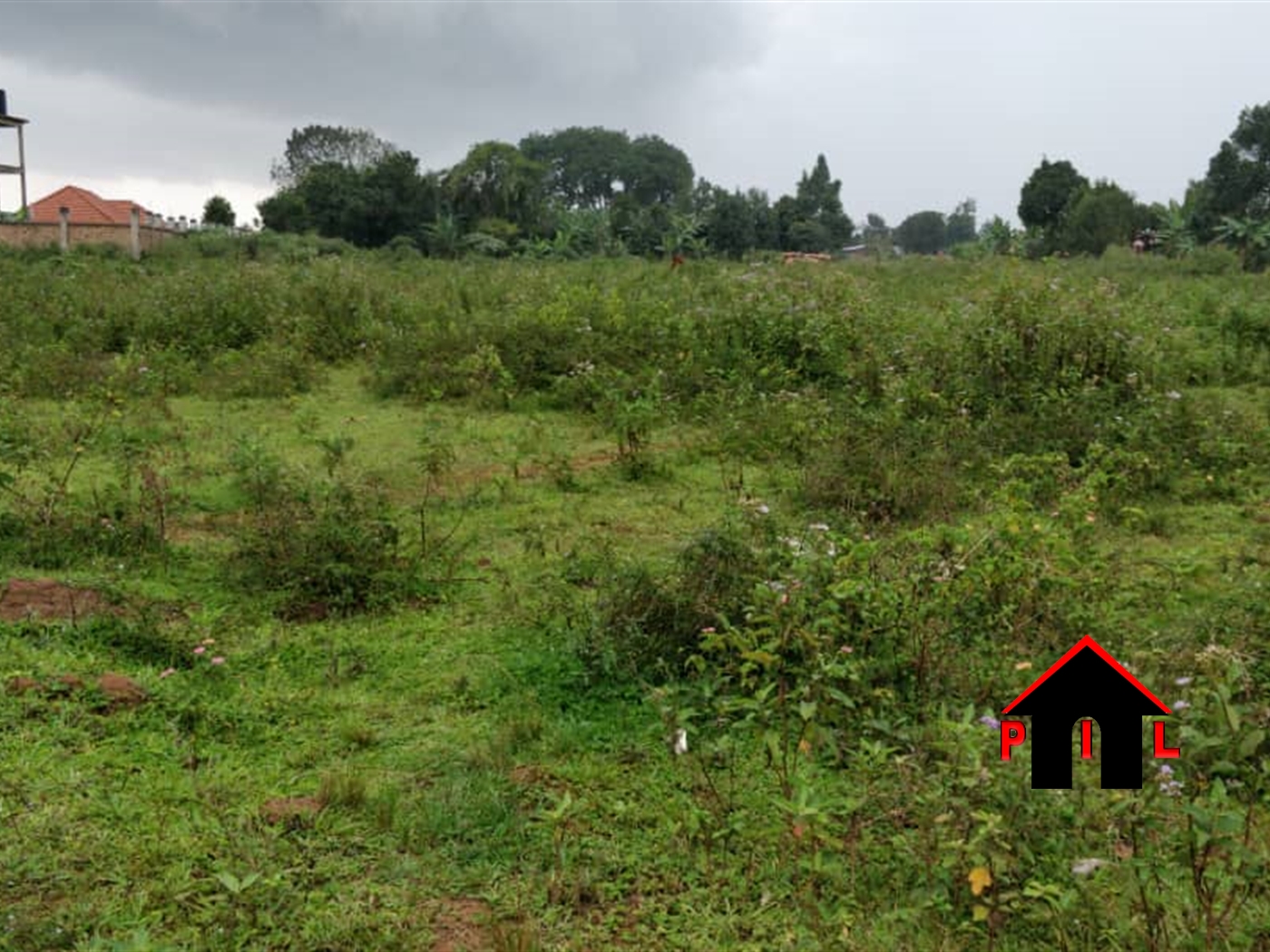 Commercial Land for sale in Nkozi Masaka