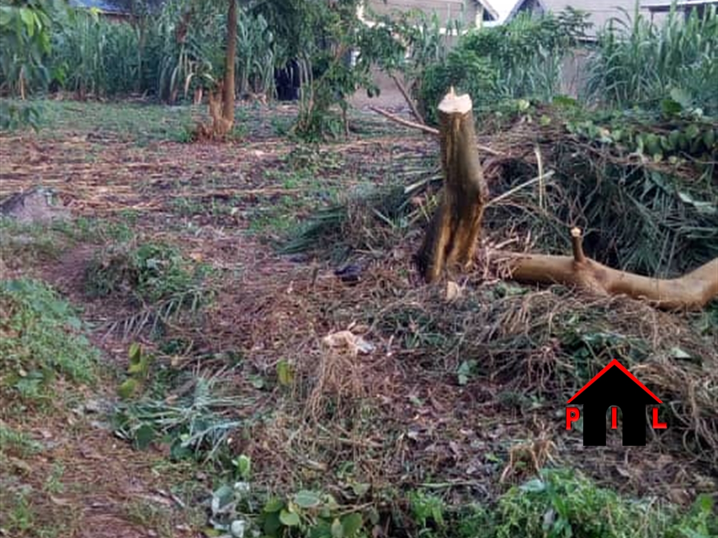 Agricultural Land for sale in Kikyuusa Luweero