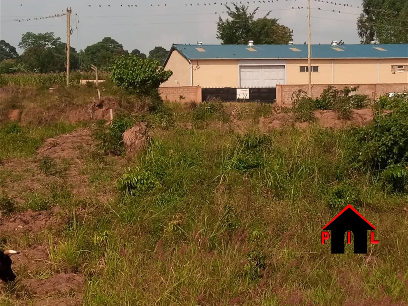 Commercial Land for sale in Kasangati Wakiso