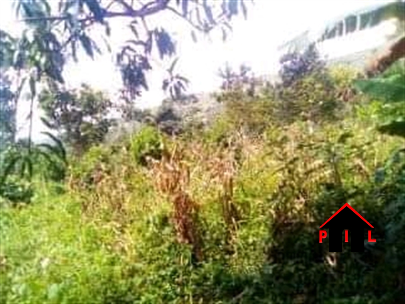 Agricultural Land for sale in Bukuya Mityana