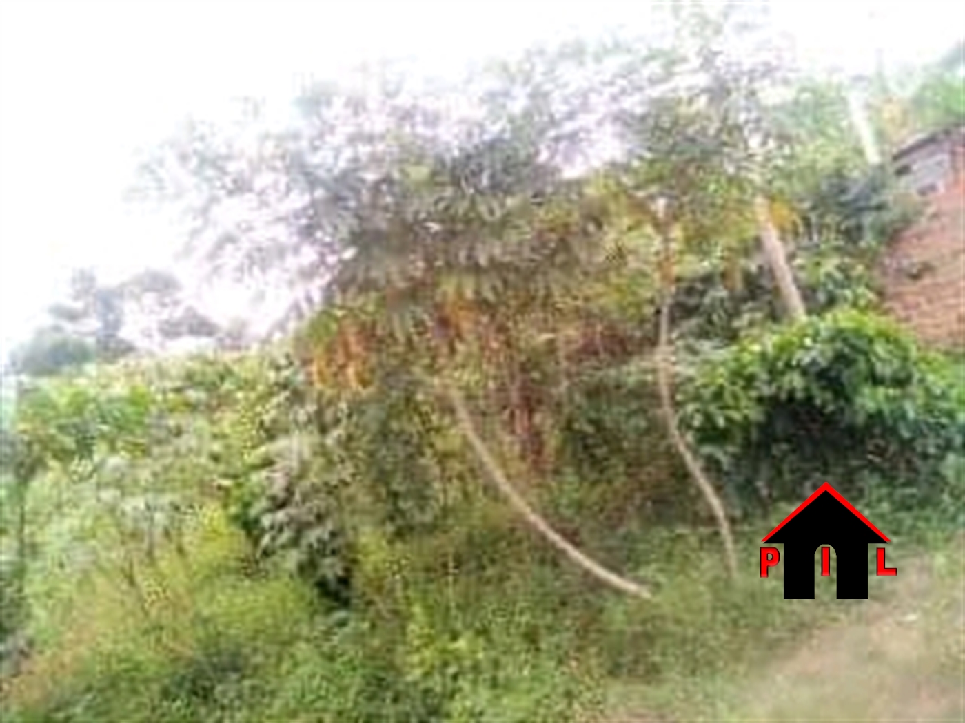 Agricultural Land for sale in Bukuya Mityana