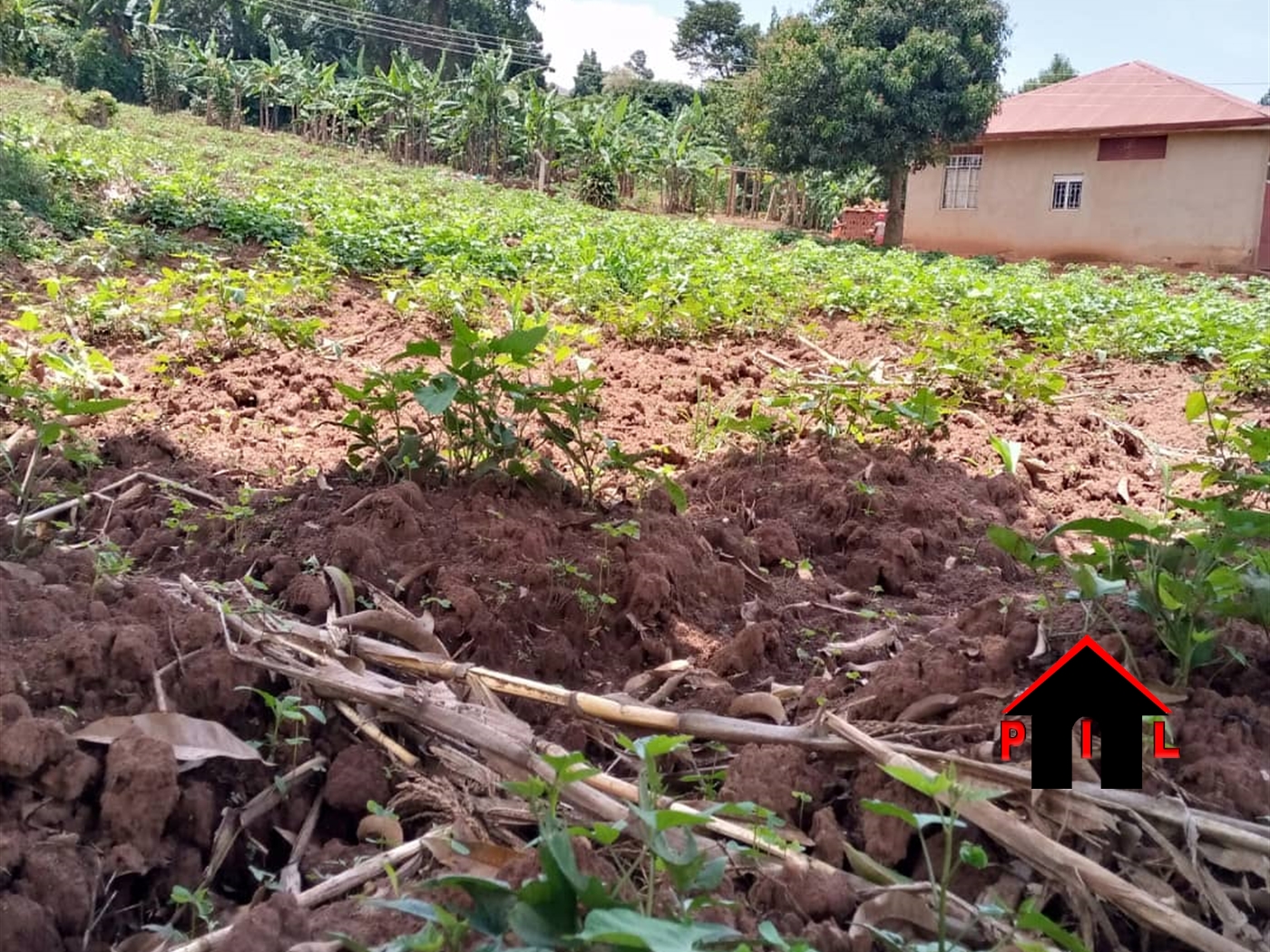 Residential Land for sale in Bubuule Mpigi