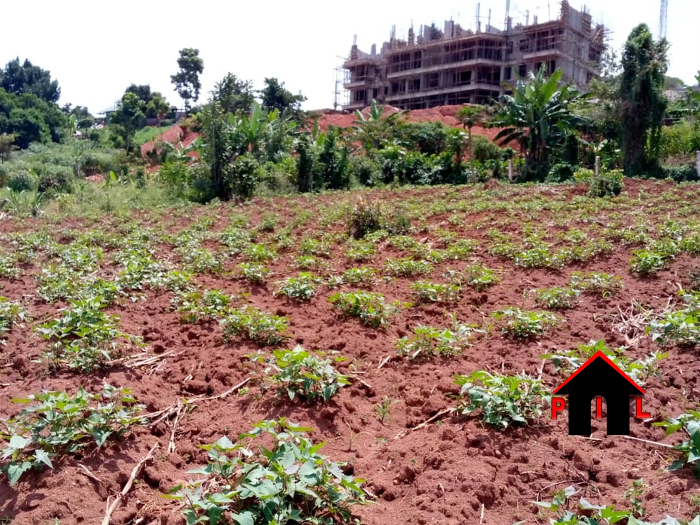 Residential Land for sale in Bubuule Mpigi