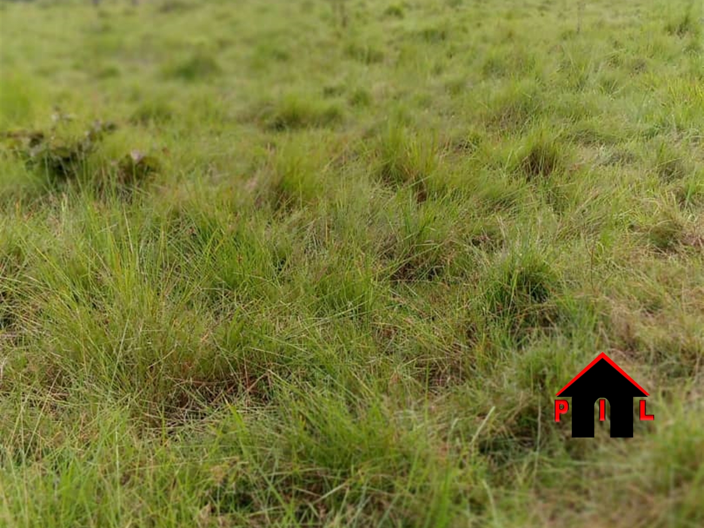 Residential Land for sale in Kalagala Luweero