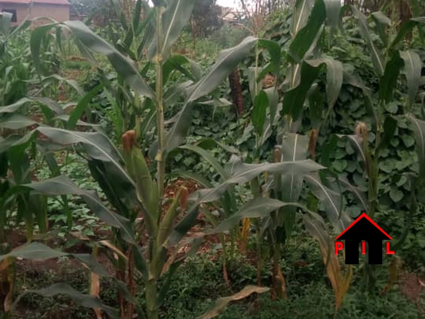 Residential Land for sale in Kawempe Kampala