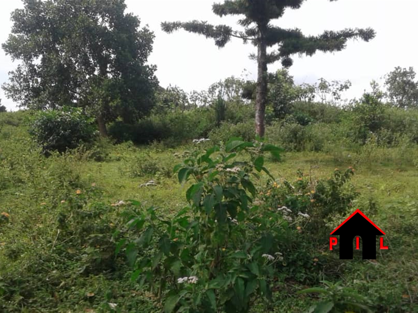 Residential Land for sale in Garuga Wakiso