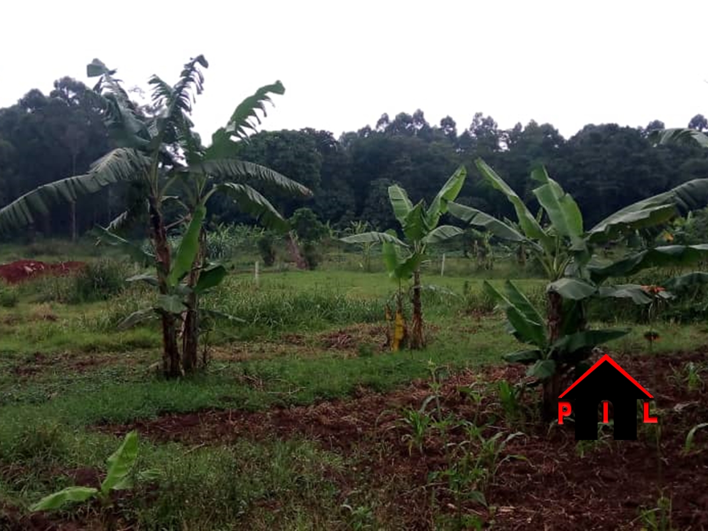 Residential Land for sale in Kungu Kampala