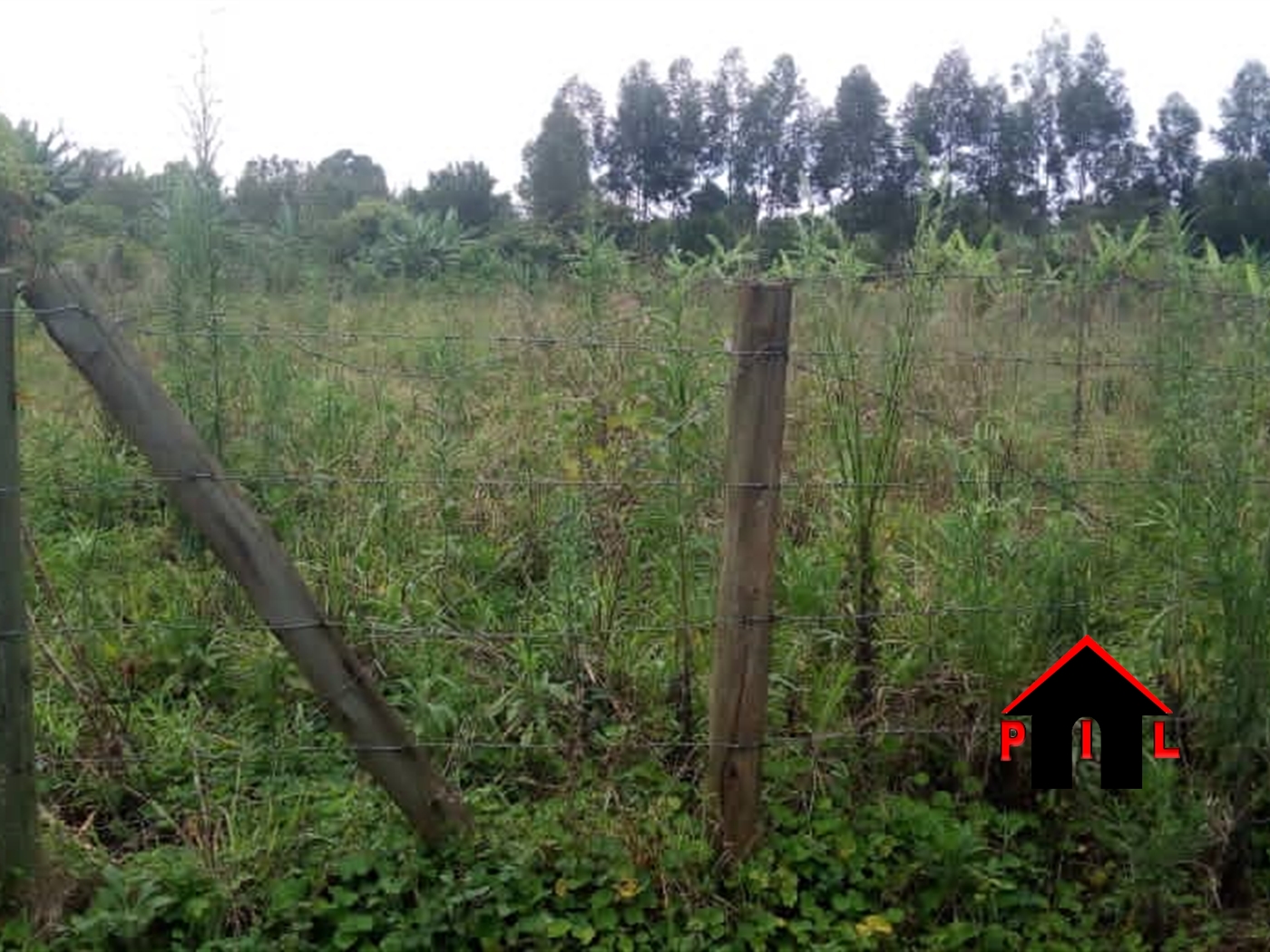 Residential Land for sale in Mpoma Mukono