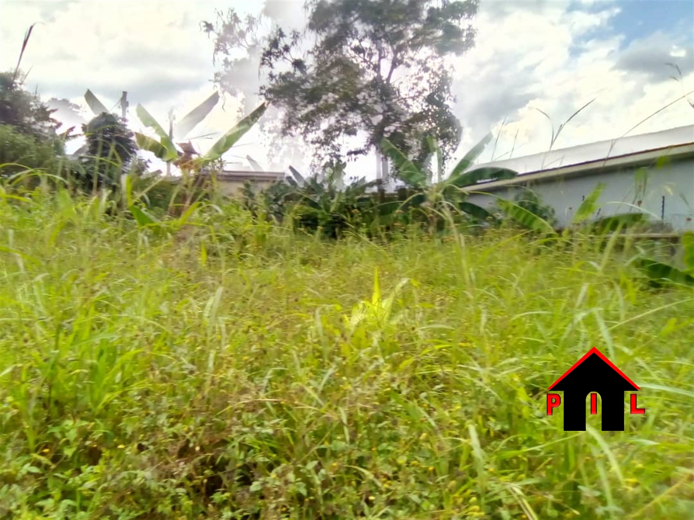 Commercial Land for sale in Goma Mukono