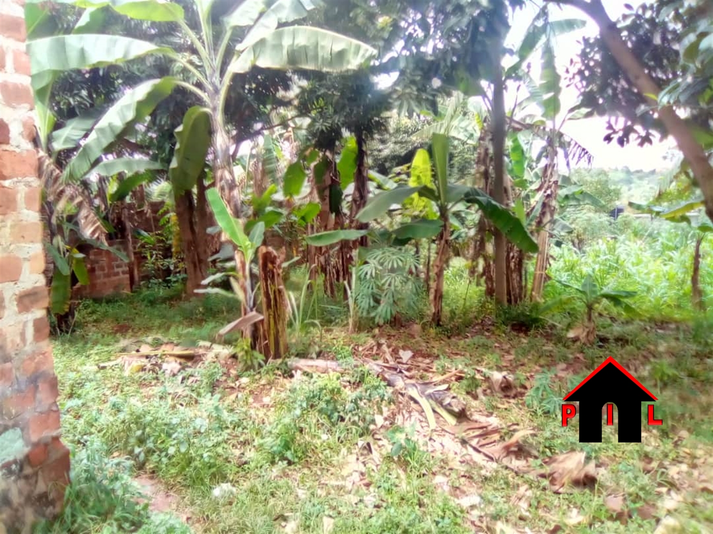 Commercial Land for sale in Goma Mukono