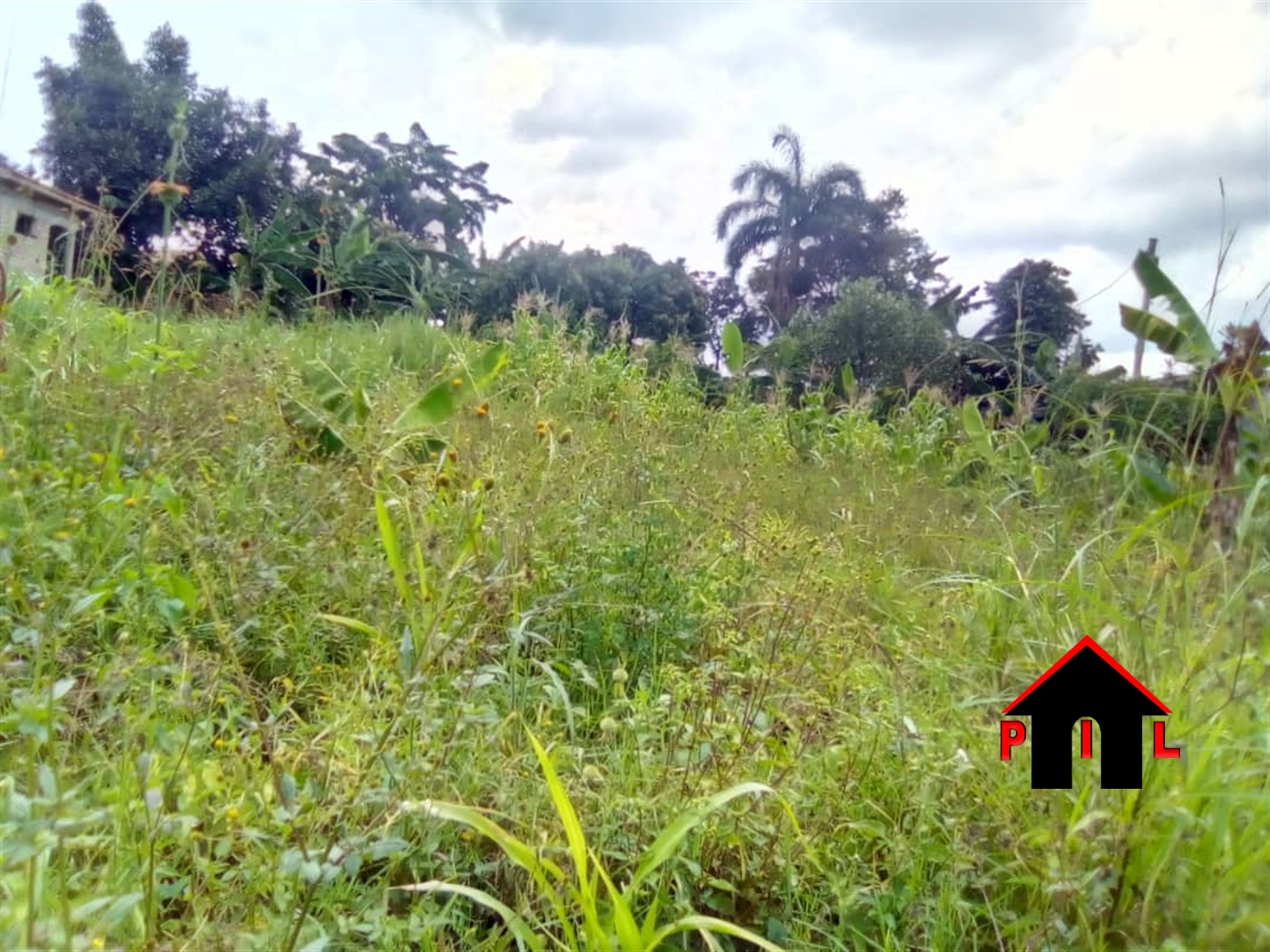 Commercial Land for sale in Goma Mukono