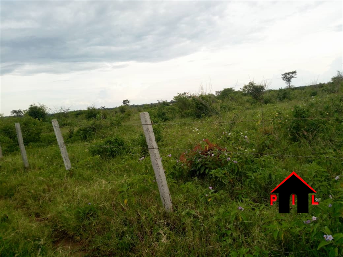 Agricultural Land for sale in Kyetume Luweero