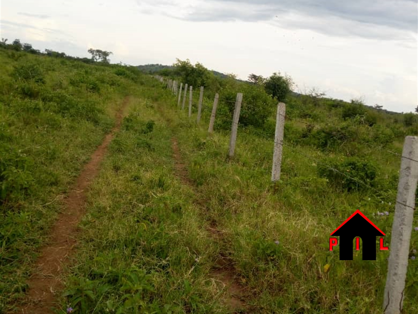 Agricultural Land for sale in Kyetume Luweero