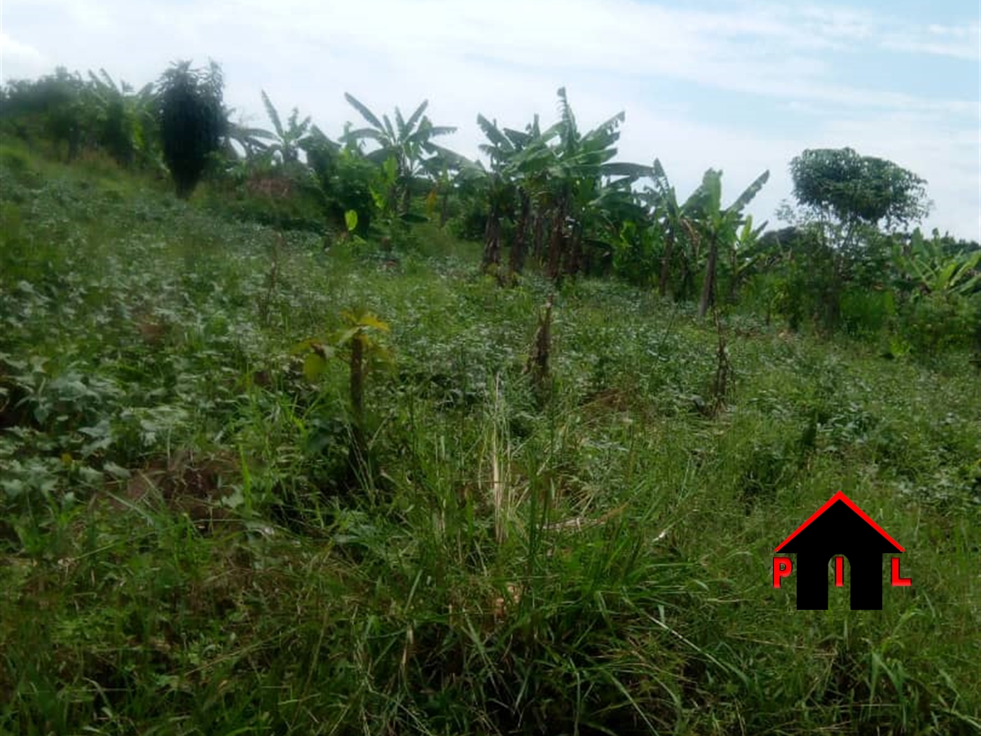 Agricultural Land for sale in Wabitungulu Luwero