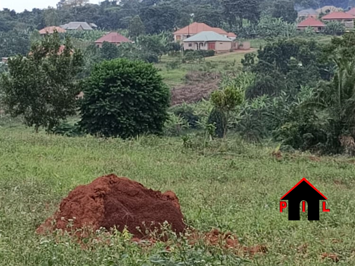 Agricultural Land for sale in Wabitungulu Luweero