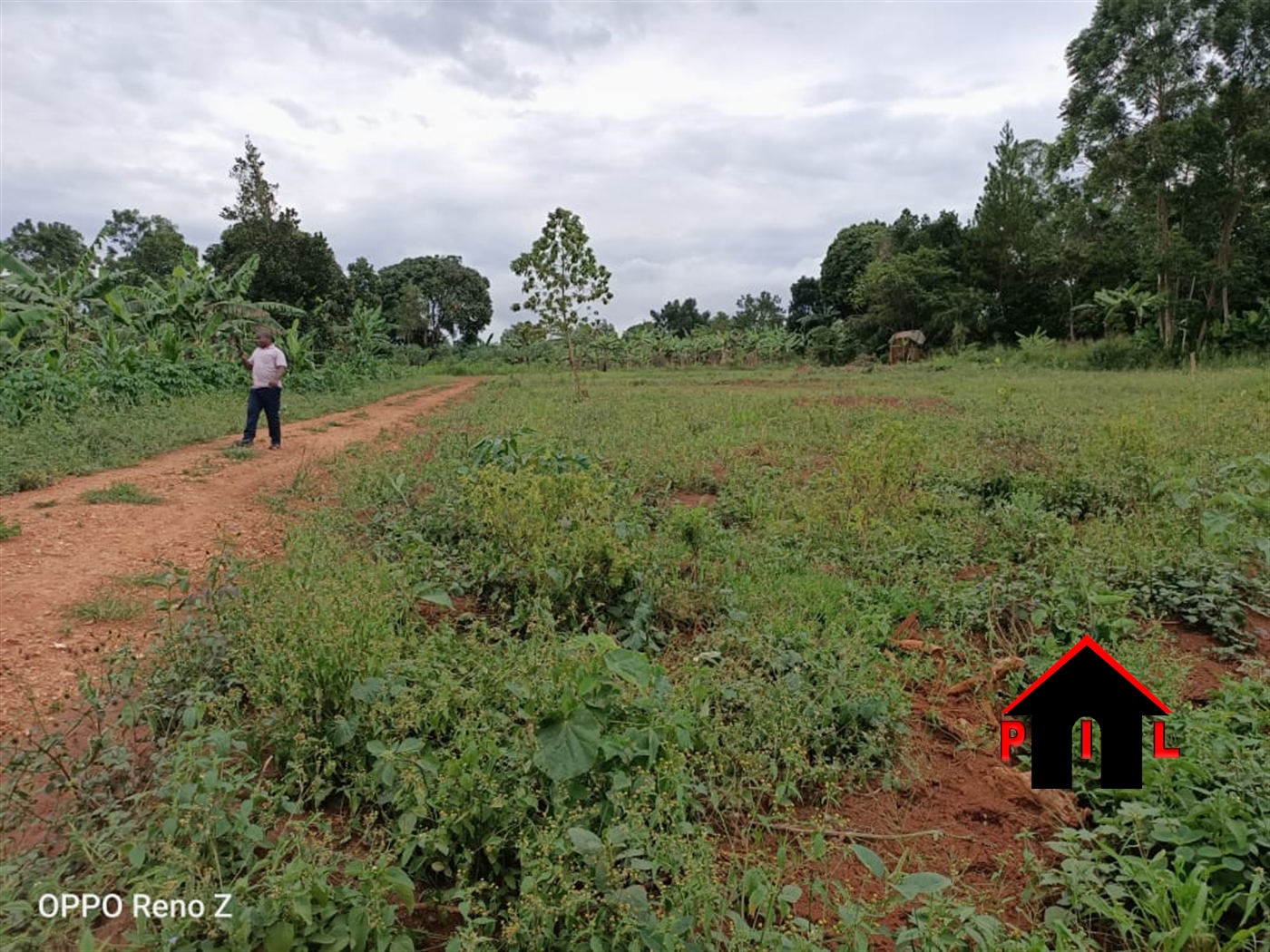 Agricultural Land for sale in Nakabululu Luweero