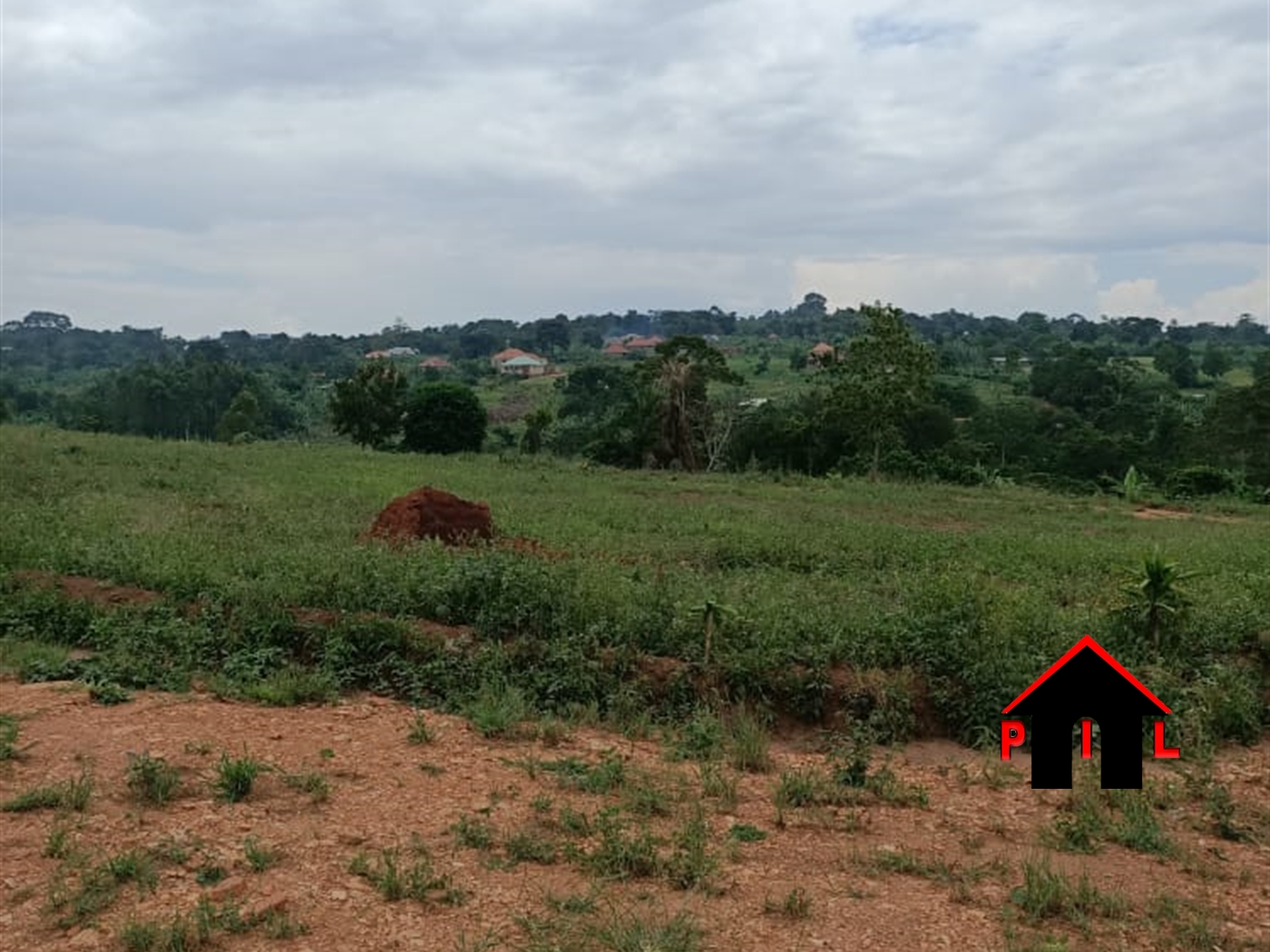 Agricultural Land for sale in Nakabululu Luweero