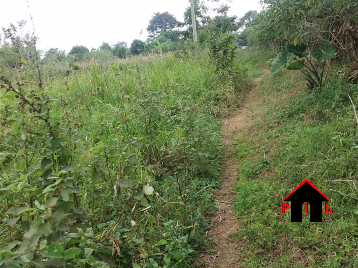 Residential Land for sale in Wabitungulu Luweero