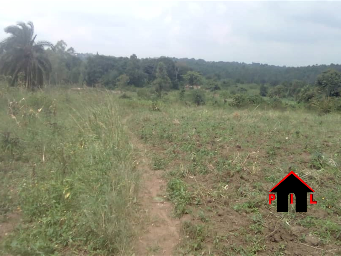 Agricultural Land for sale in Kayonza Luweero