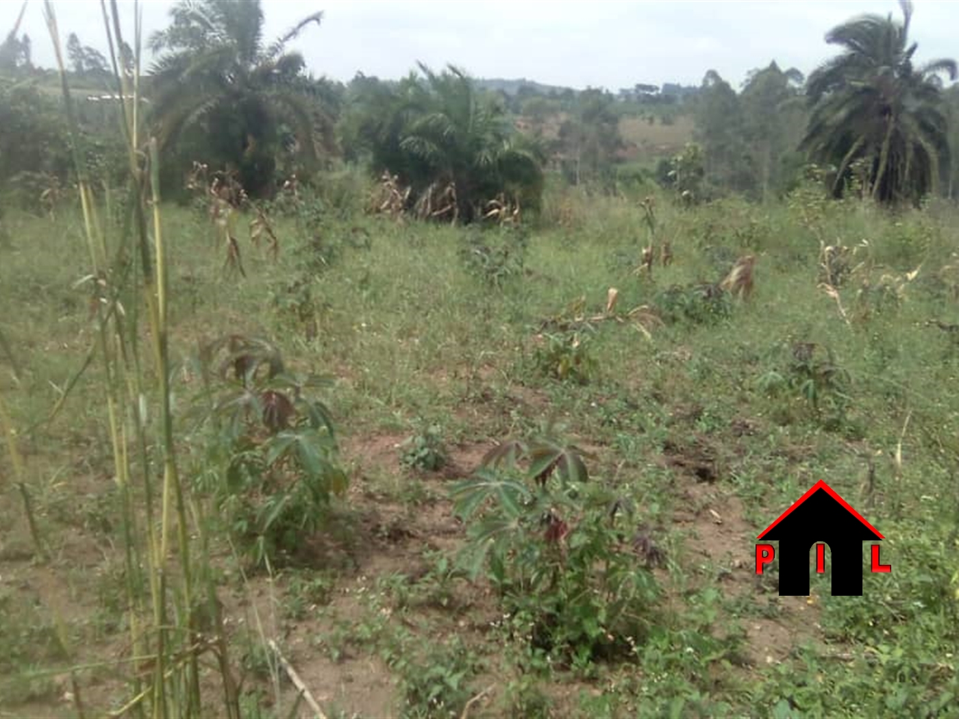 Agricultural Land for sale in Kayonza Luweero