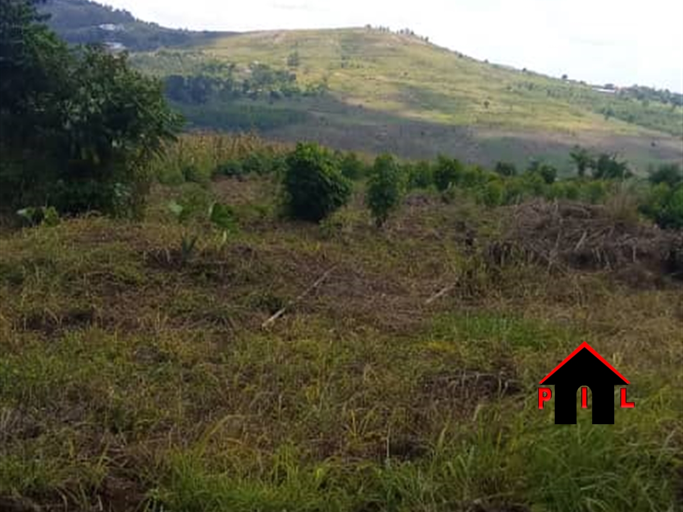 Agricultural Land for sale in Kakooge Luweero