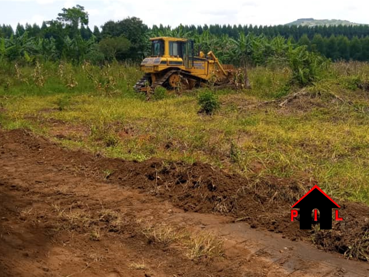 Agricultural Land for sale in Kakooge Luweero