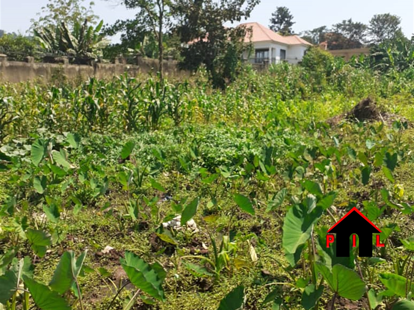 Agricultural Land for sale in Wakatayi Luweero