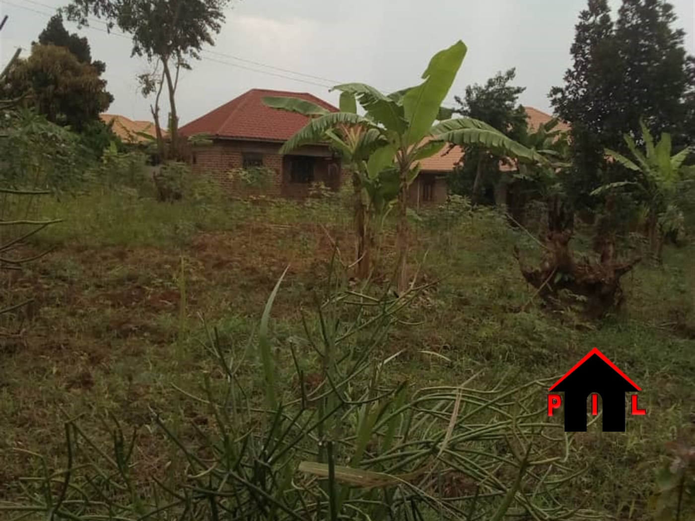 Agricultural Land for sale in Ndalijje Luweero