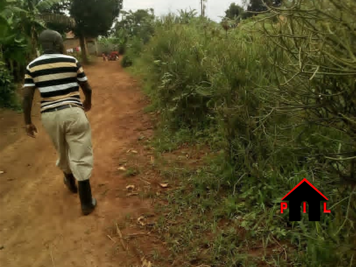 Agricultural Land for sale in Ndalijje Luweero