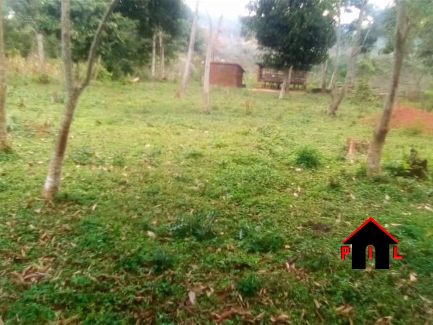 Agricultural Land for sale in Tongo Luweero