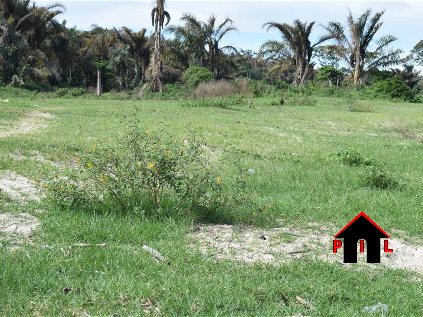 Agricultural Land for sale in Kaliisizo Masaka