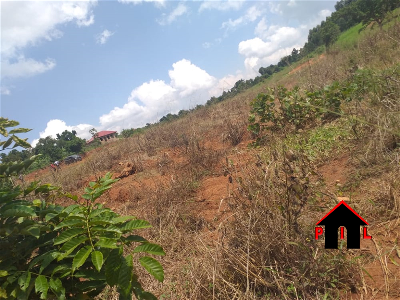 Residential Land for sale in Kiwenda Wakiso