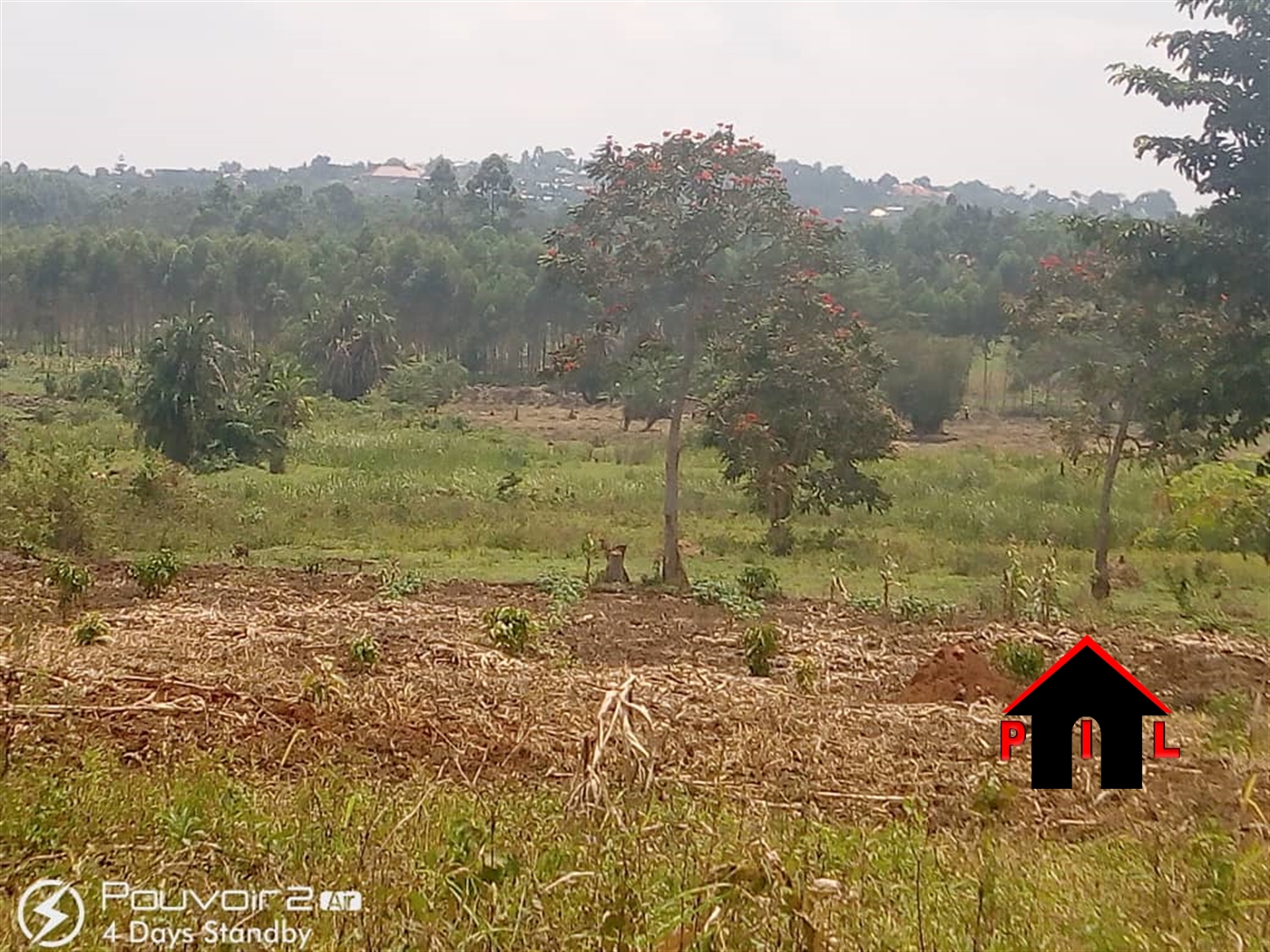 Agricultural Land for sale in Kalule Luweero