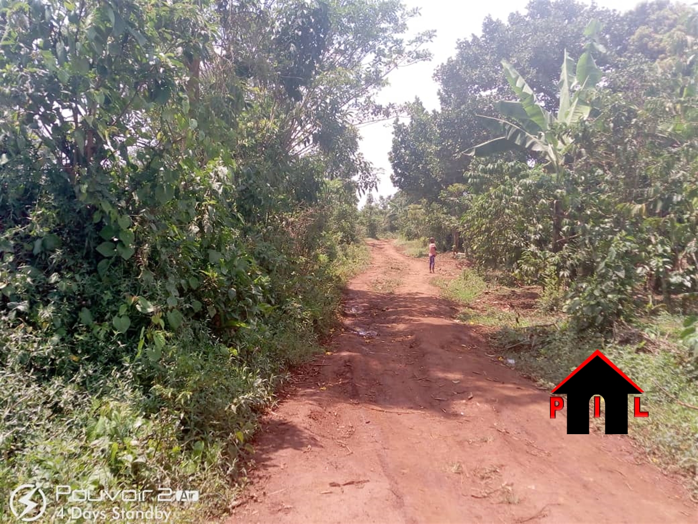 Agricultural Land for sale in Kalule Luweero