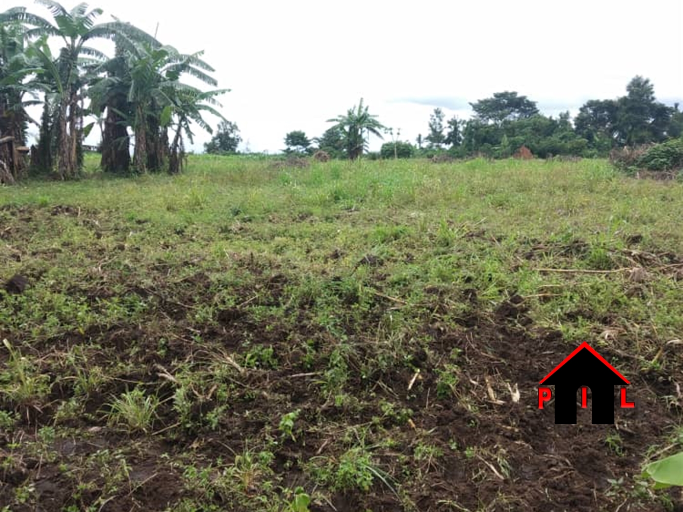 Agricultural Land for sale in Wobulenzi Luweero