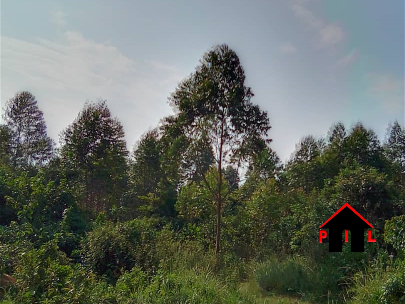 Residential Land for sale in Kira Wakiso