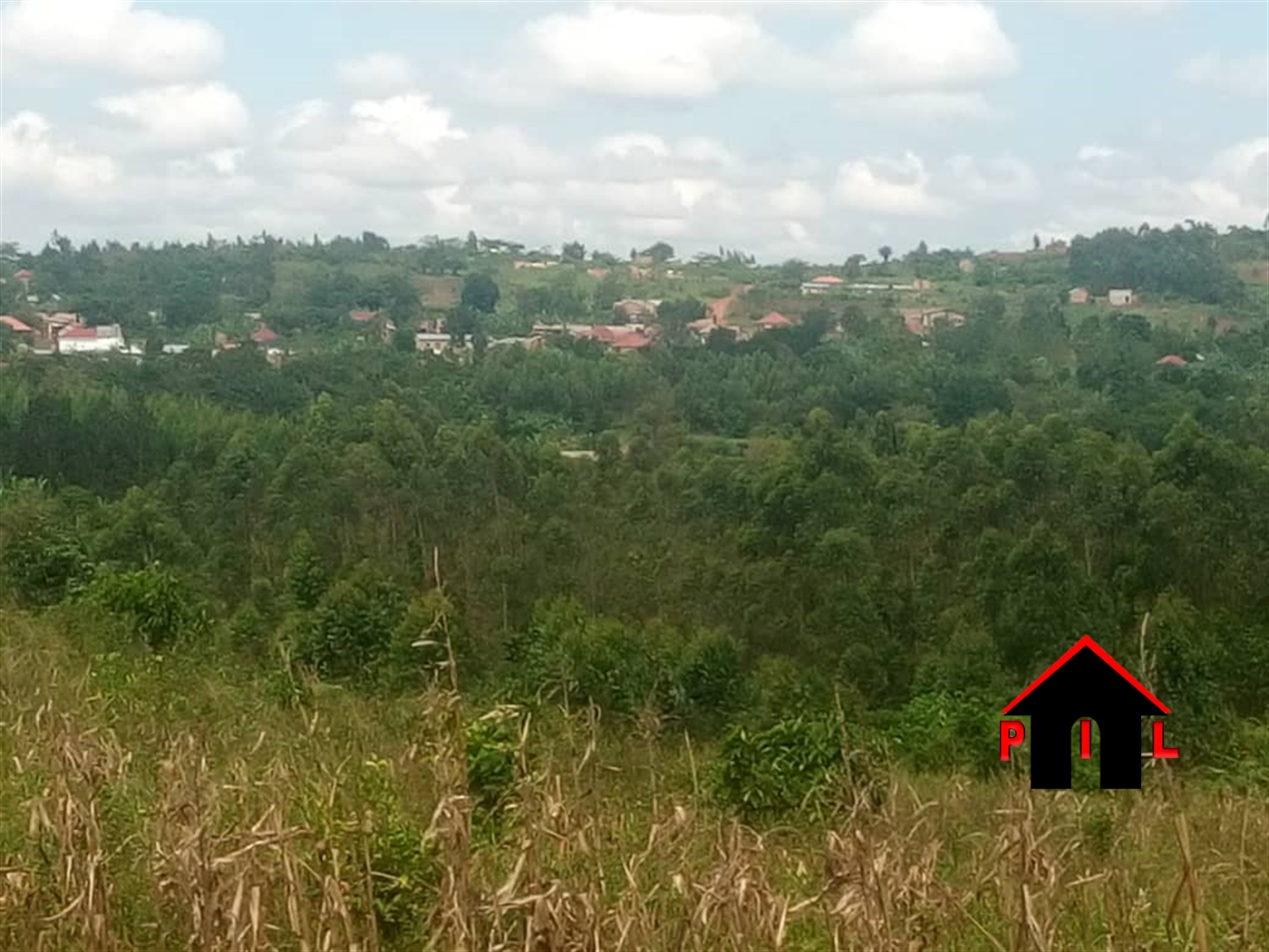 Agricultural Land for sale in Sonde Wakiso