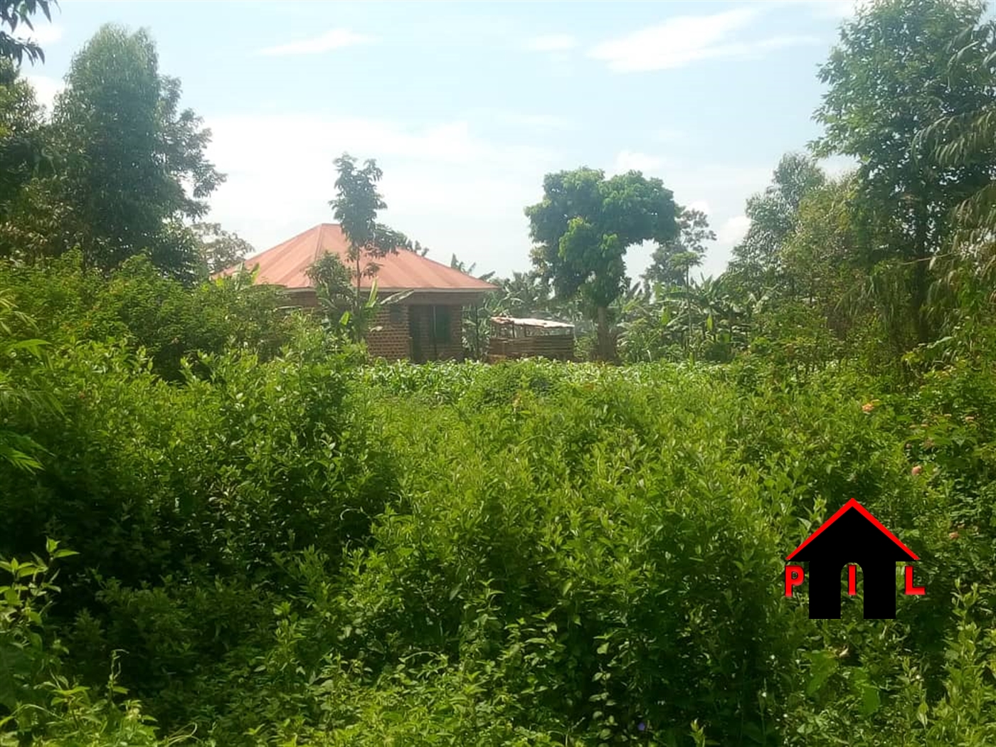 Agricultural Land for sale in Sonde Wakiso