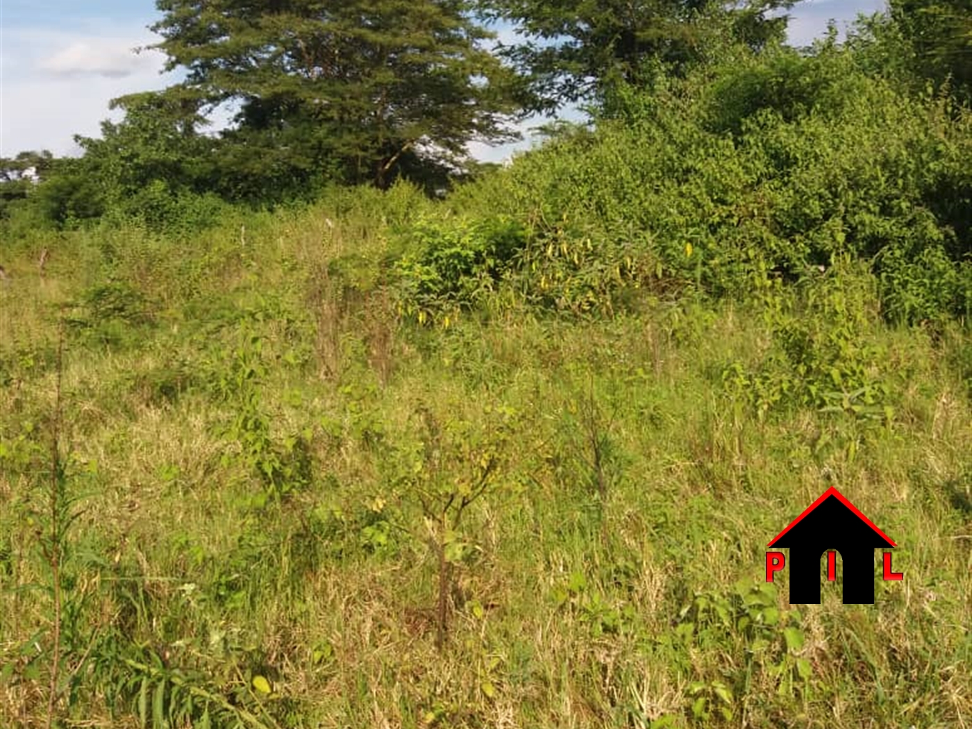 Agricultural Land for sale in Kiziba Kayunga