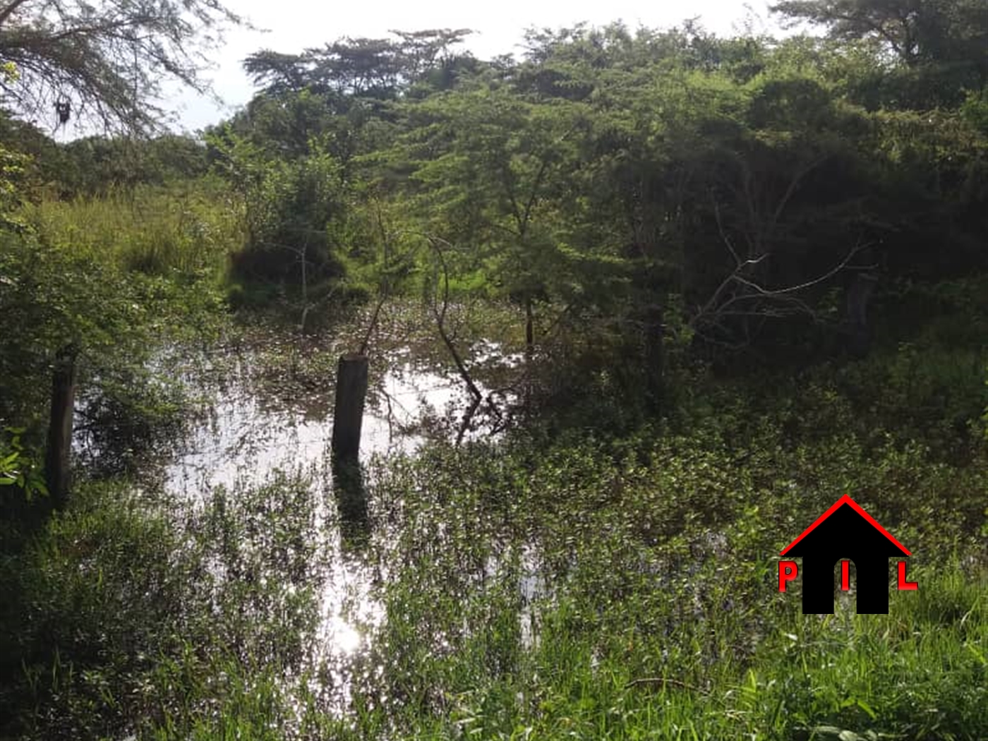 Agricultural Land for sale in Kiziba Kayunga