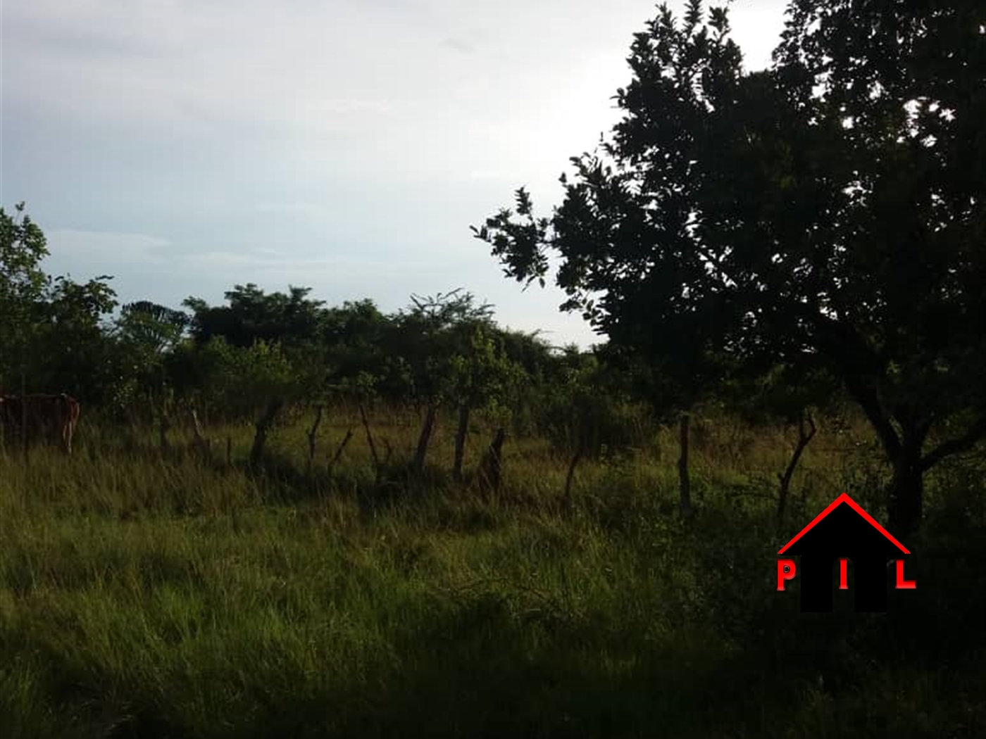 Agricultural Land for sale in Meri Kayunga