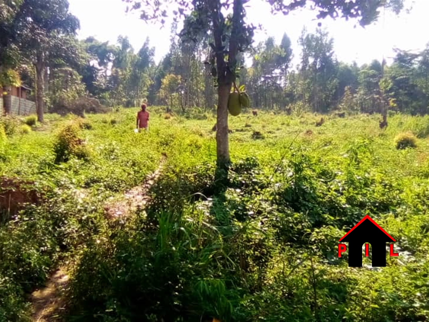 Residential Land for sale in Kawuku Wakiso