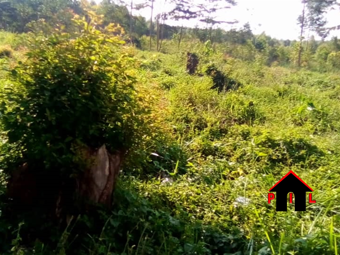 Residential Land for sale in Kawuku Wakiso