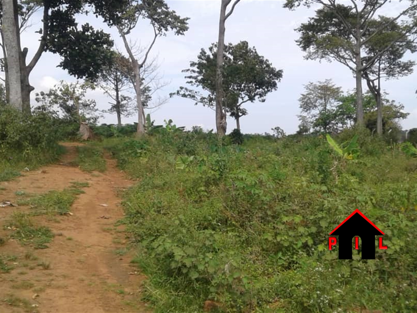 Residential Land for sale in Namataba Mukono