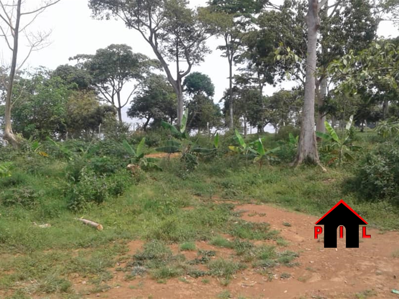 Residential Land for sale in Namataba Mukono