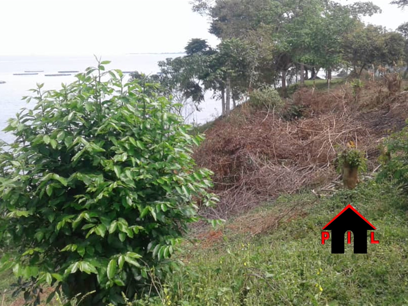 Agricultural Land for sale in Bussi Mpigi