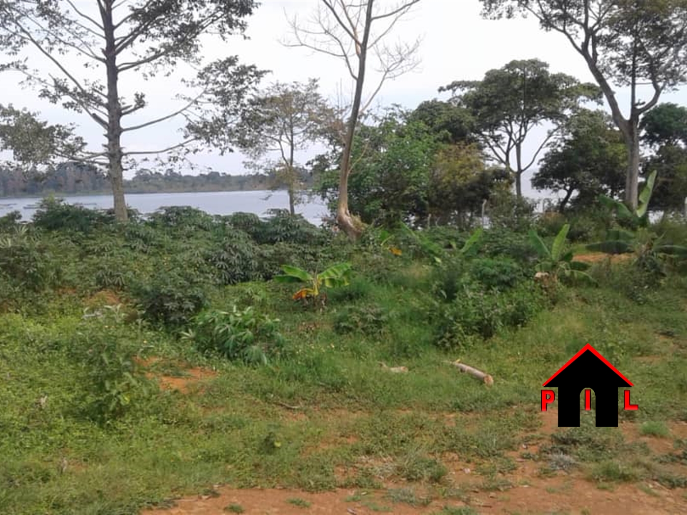 Agricultural Land for sale in Bussi Mpigi