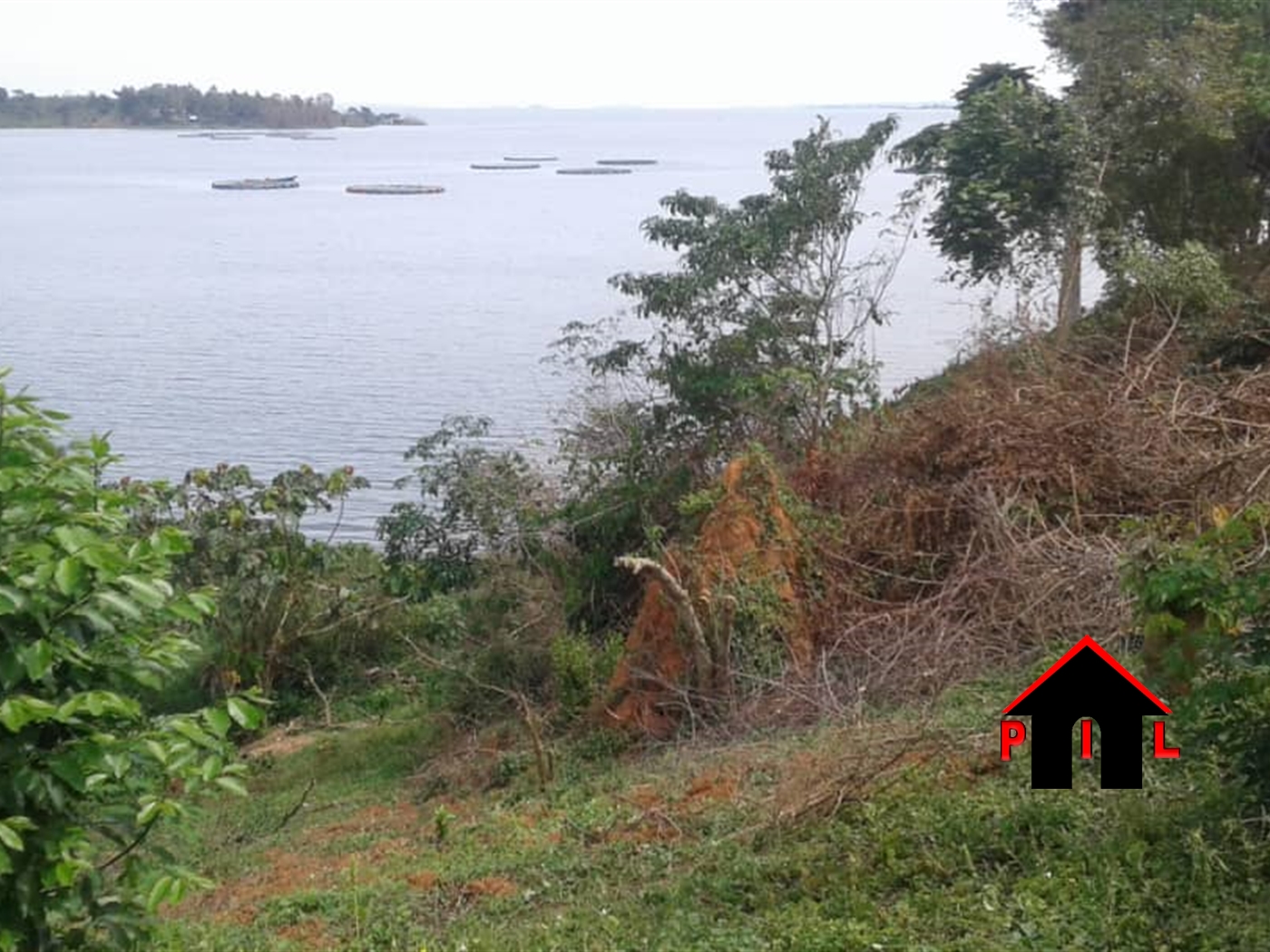 Agricultural Land for sale in Bussi Mpigi