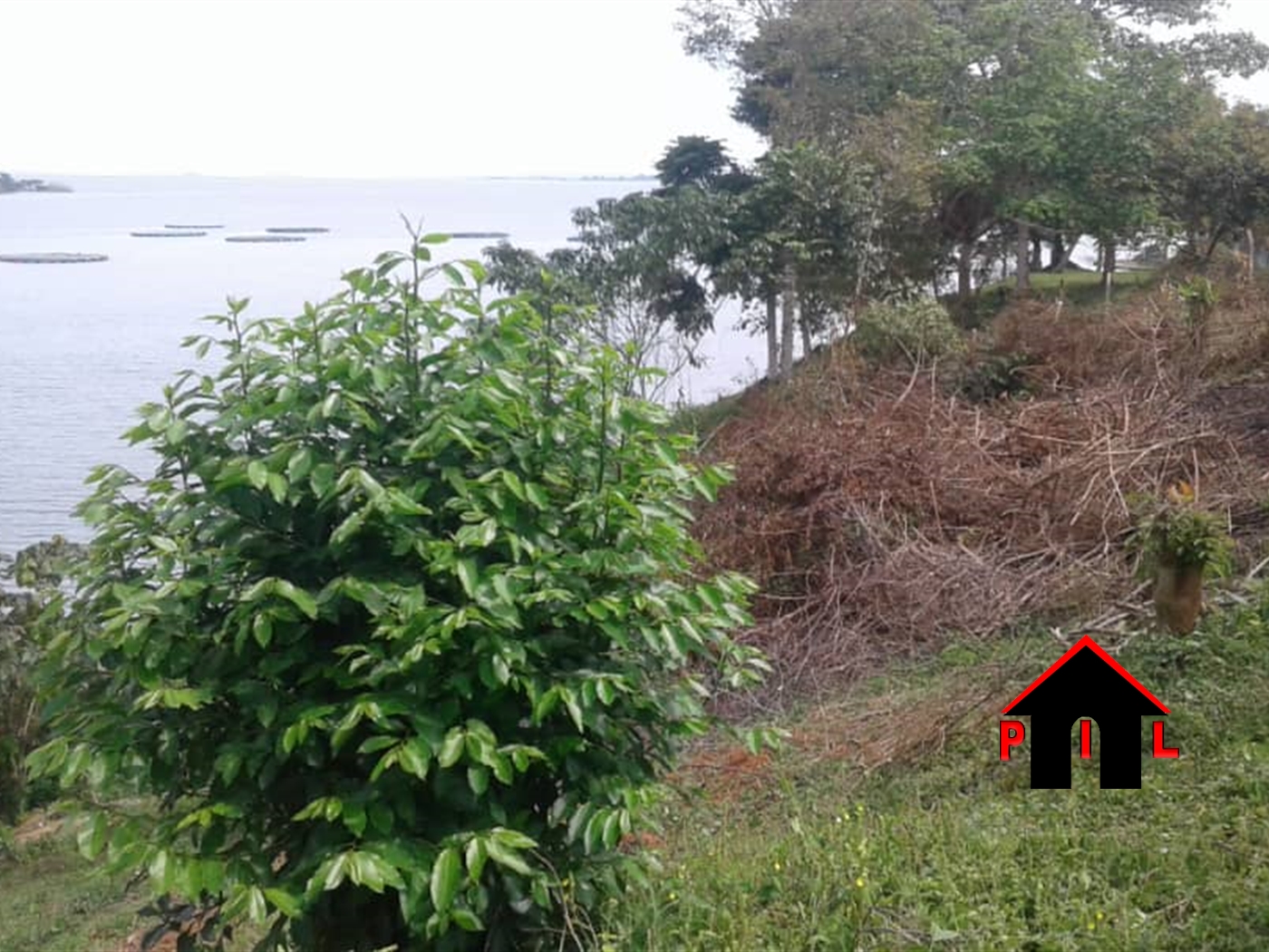 Agricultural Land for sale in Bussi Mpigi