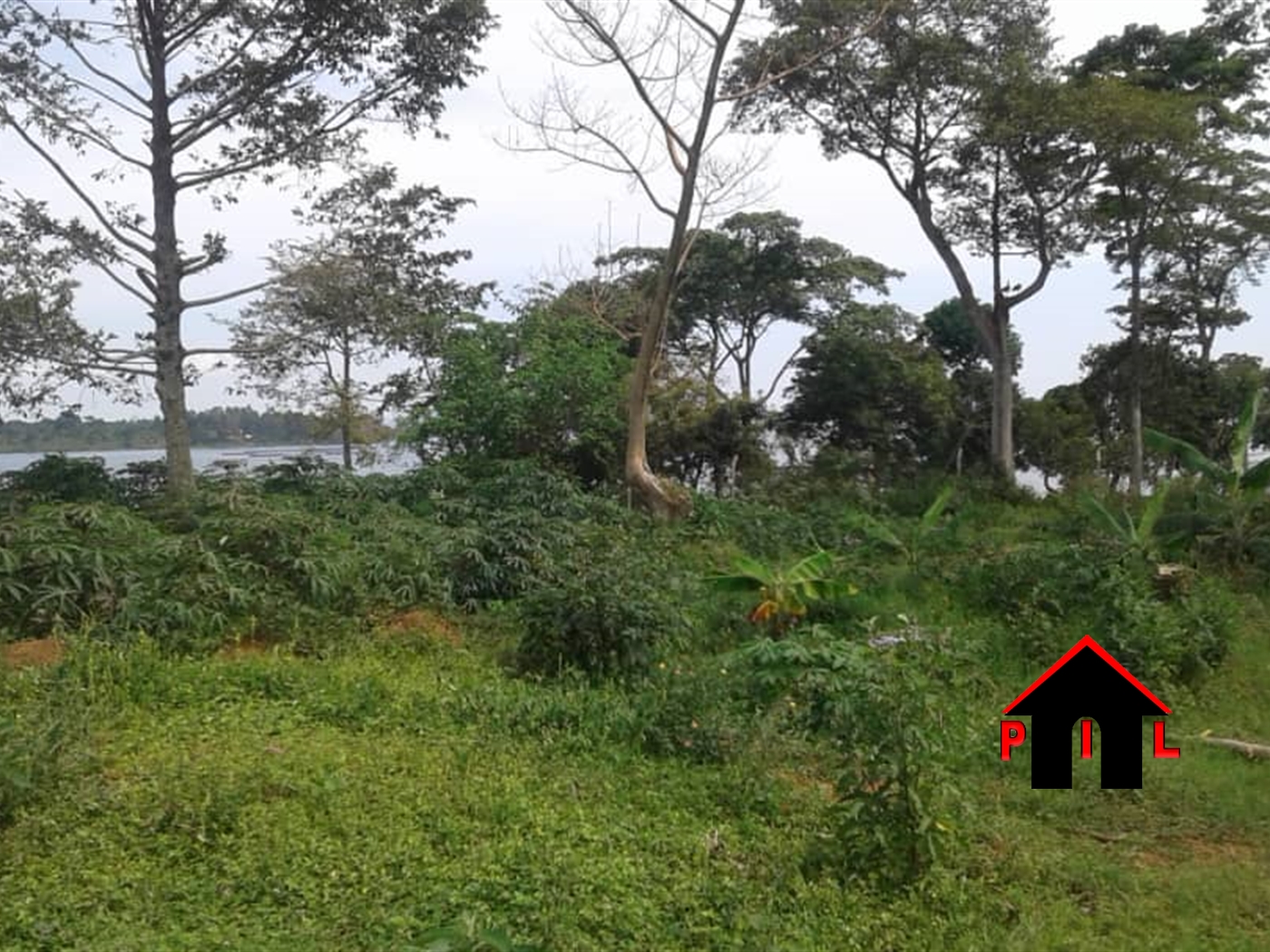 Agricultural Land for sale in Bussi Mpigi